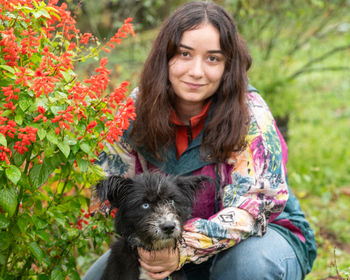 dog_39-18