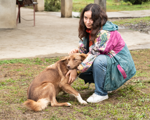 dog_55-22